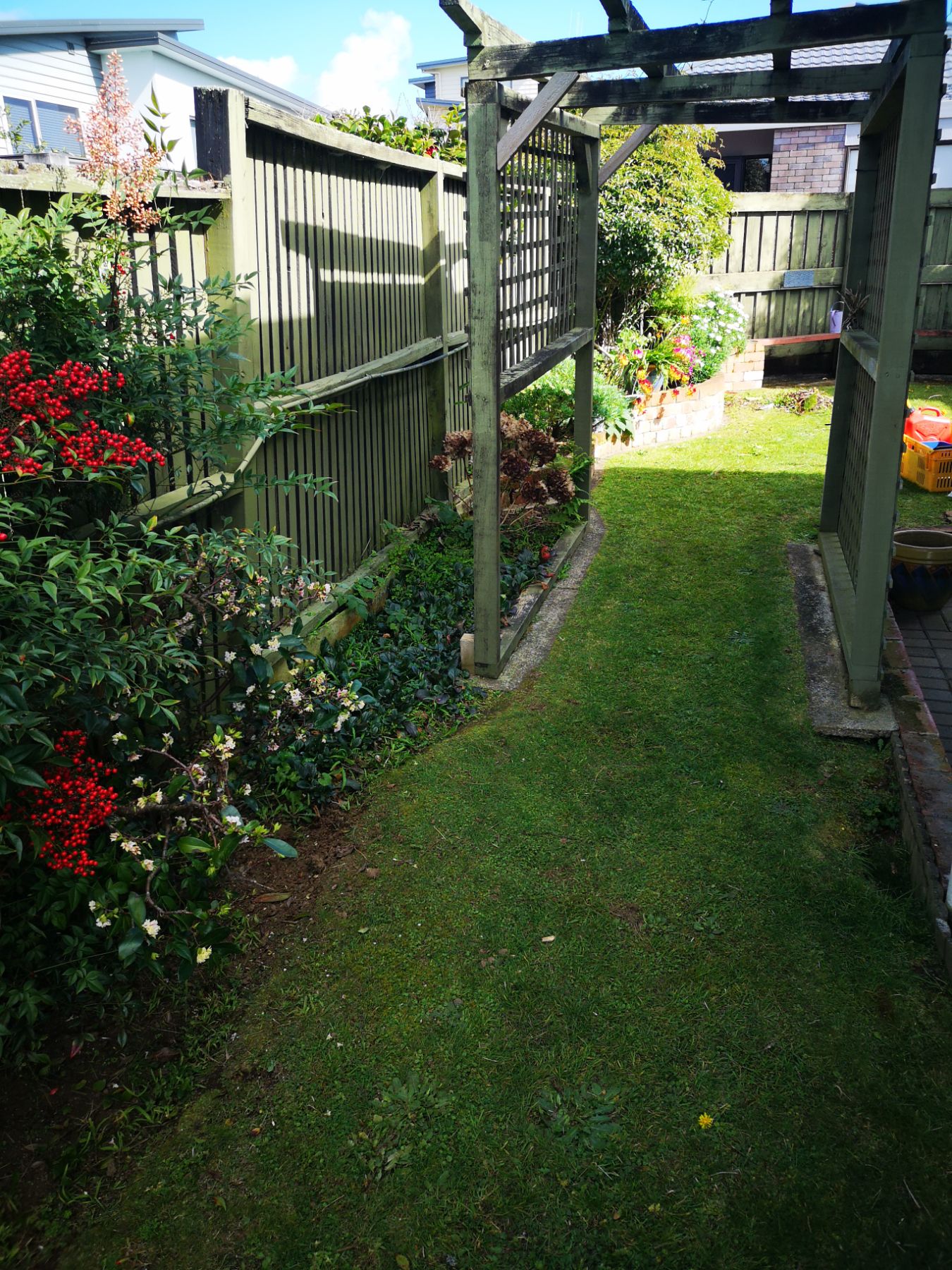 Garden Before
